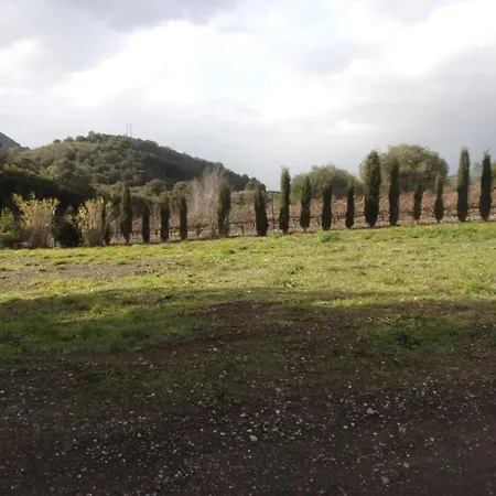 Domaine Le Pla De Liere * Maury