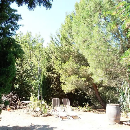 Domaine Le Pla De Liere Maury