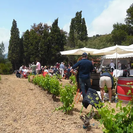 Holiday home Domaine Le Pla De Liere *