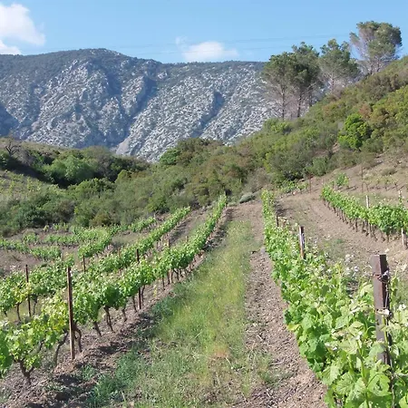 Holiday home Domaine Le Pla De Liere *