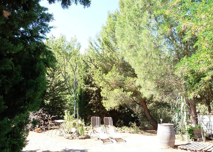 Domaine Le Pla De Liére Maury